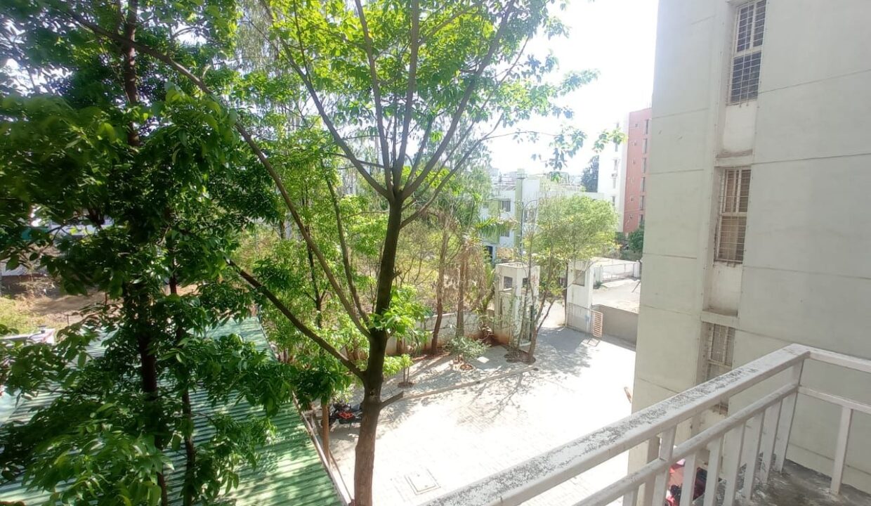 WhatsApp Image 2023-06-02 at 3.33.34 PM (1)