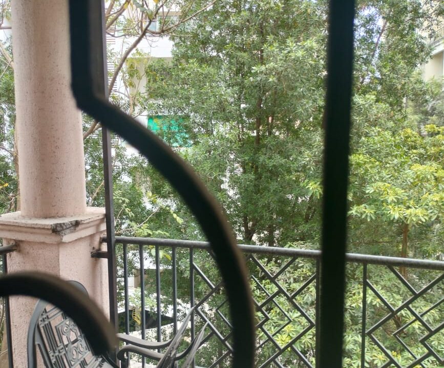 WhatsApp Image 2023-05-31 at 4.40.19 PM