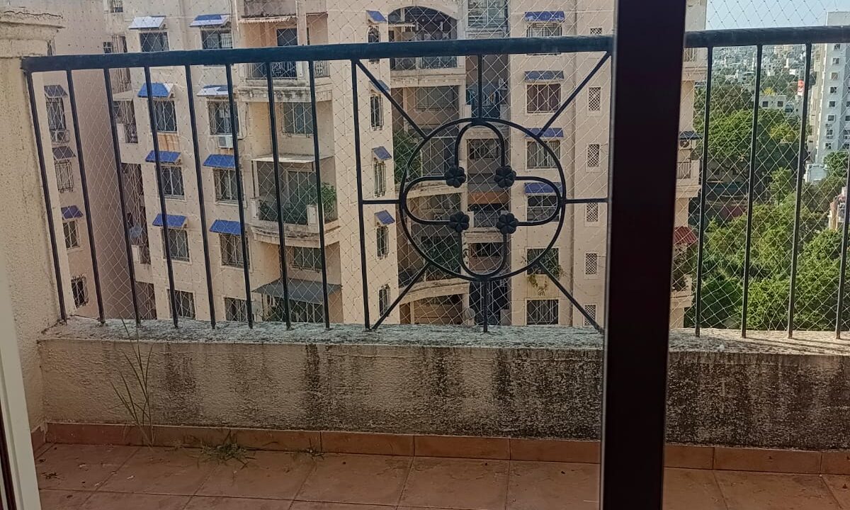 WhatsApp Image 2023-06-01 at 3.20.49 PM