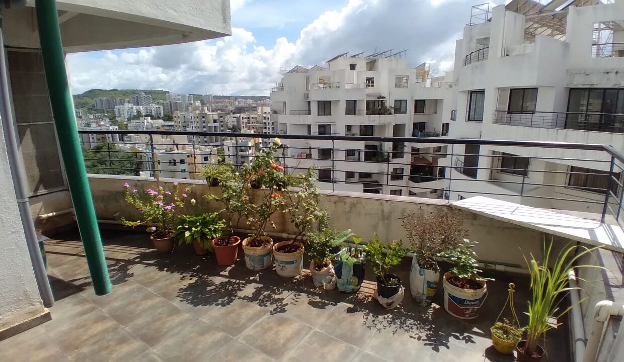 WhatsApp Image 2023-06-01 at 5.19.58 PM