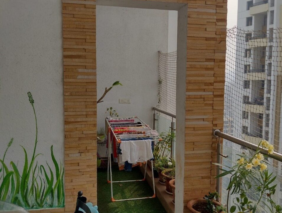 WhatsApp Image 2023-06-01 at 6.06.32 PM (1)