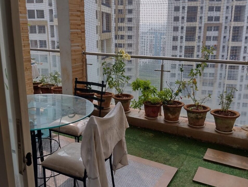 WhatsApp Image 2023-06-01 at 6.06.32 PM