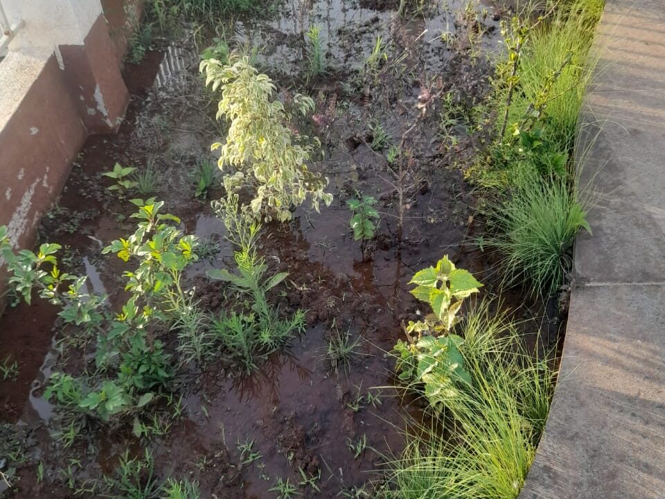 WhatsApp Image 2023-06-02 at 3.57.50 PM