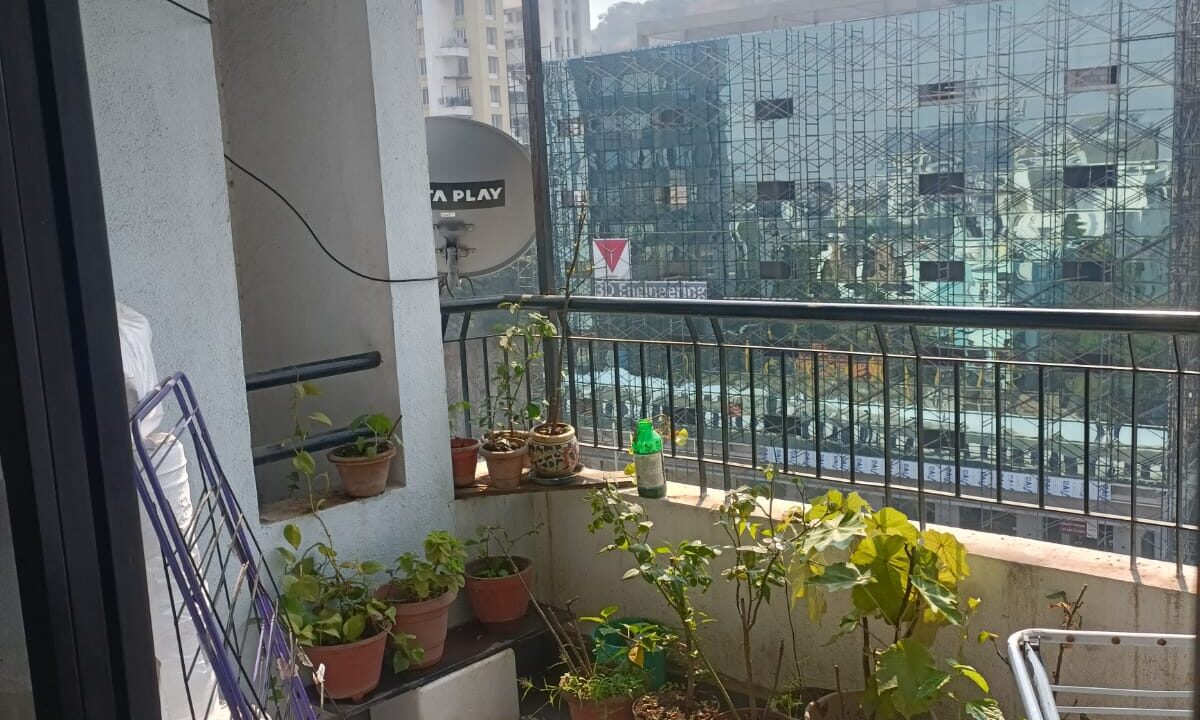 WhatsApp Image 2023-06-02 at 3.59.18 PM (1)