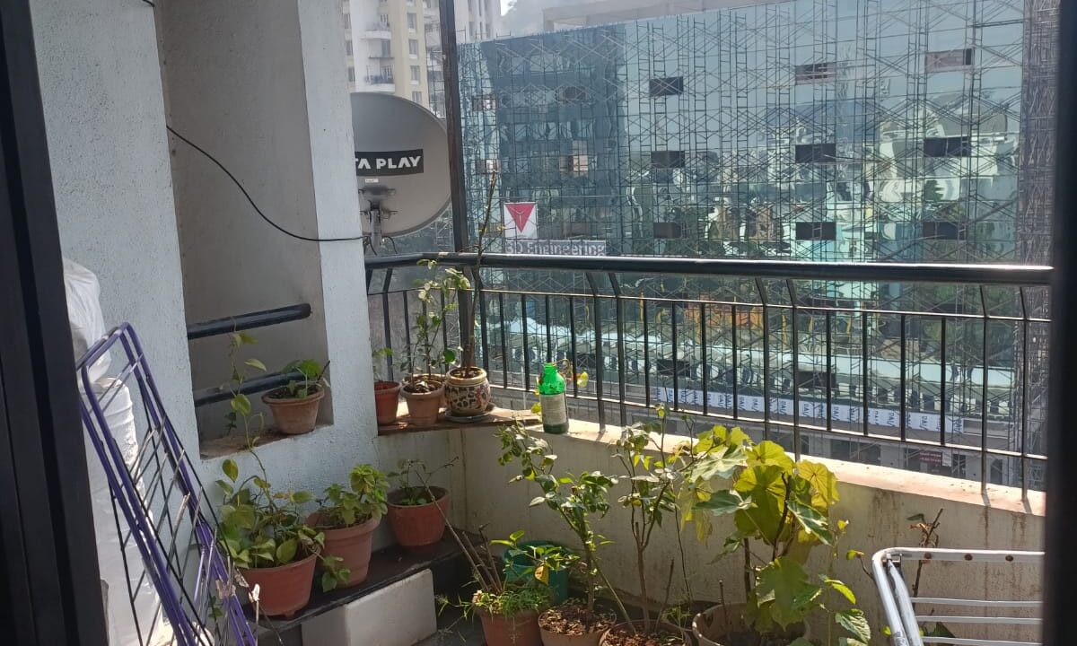 WhatsApp Image 2023-06-02 at 3.59.21 PM