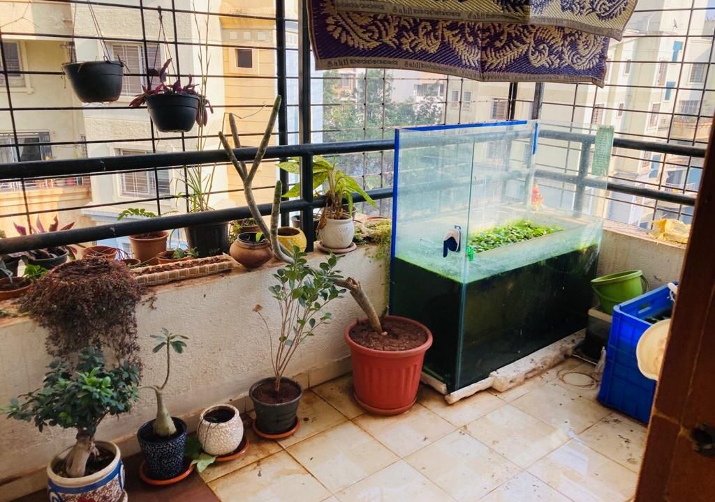 WhatsApp Image 2023-06-02 at 4.40.51 PM