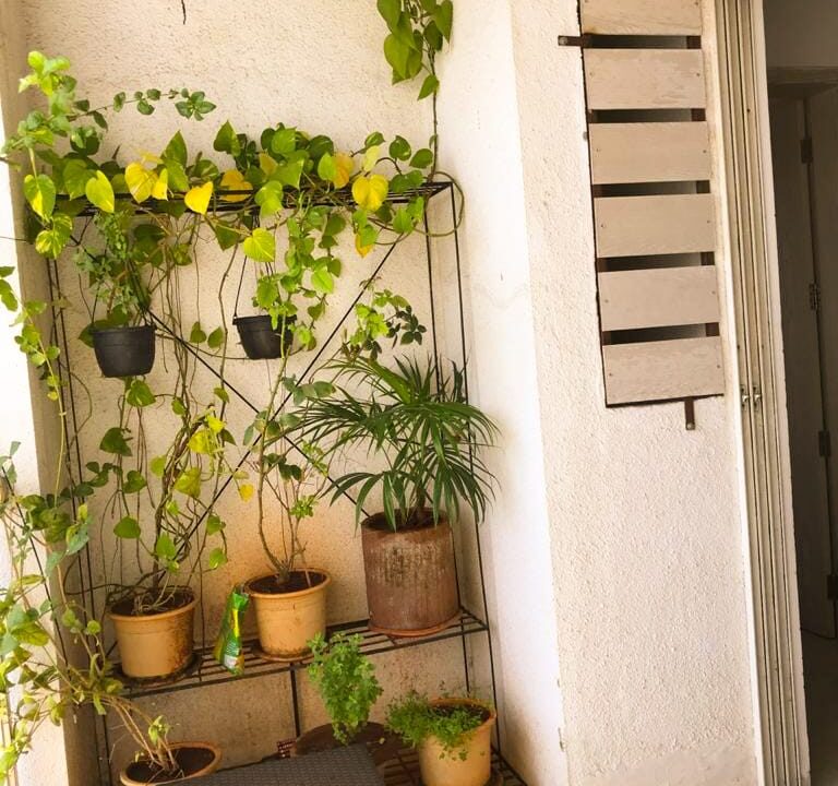 WhatsApp Image 2023-06-02 at 5.03.39 PM (1)