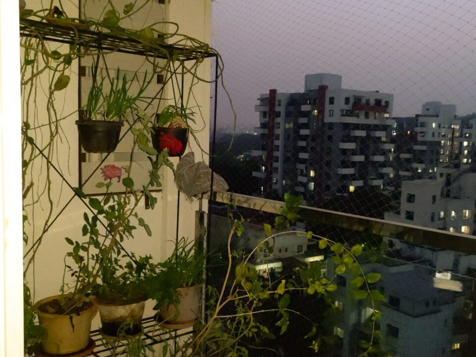 WhatsApp Image 2023-06-02 at 5.03.42 PM (1)